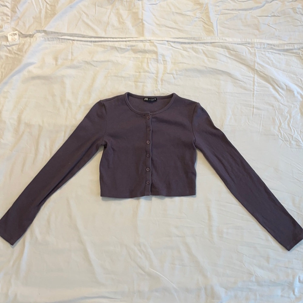 Zara purple ribbed button up cropped top